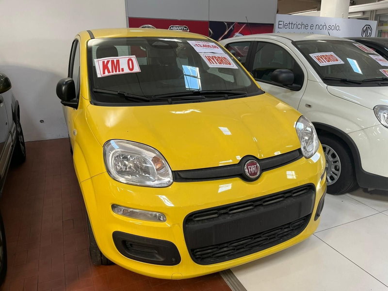 Fiat Panda nuova a Lucca (3)