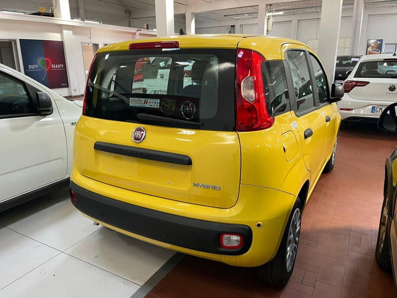 Fiat Panda nuova a Lucca (4)