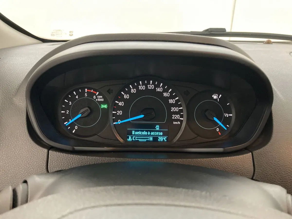 Ford EcoSport usata a Barletta-Andria-Trani (11)