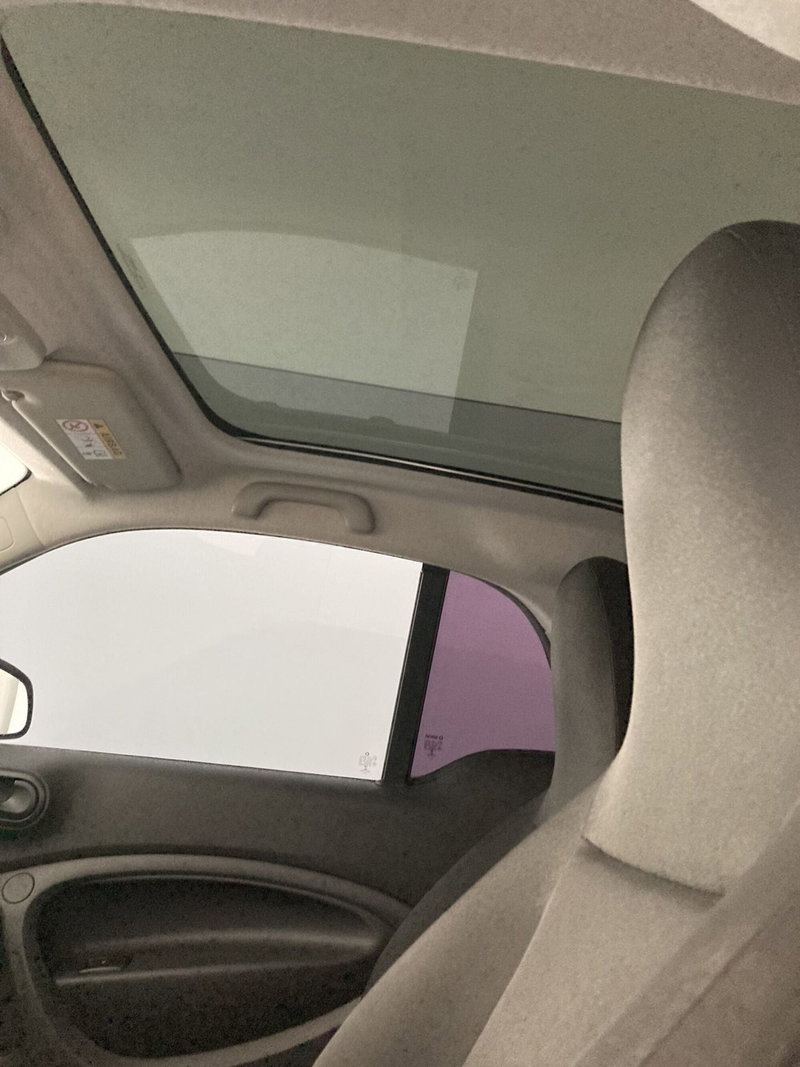 smart forfour usata a Barletta-Andria-Trani (6)
