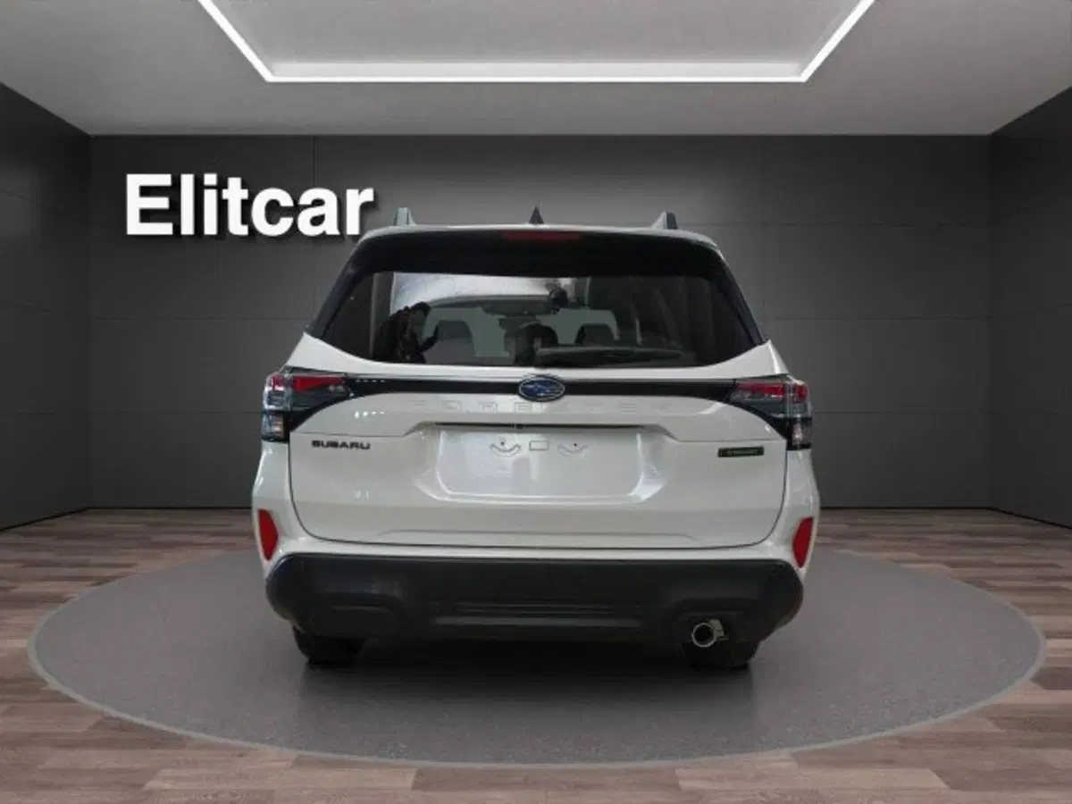 Subaru Forester nuova a Novara (4)