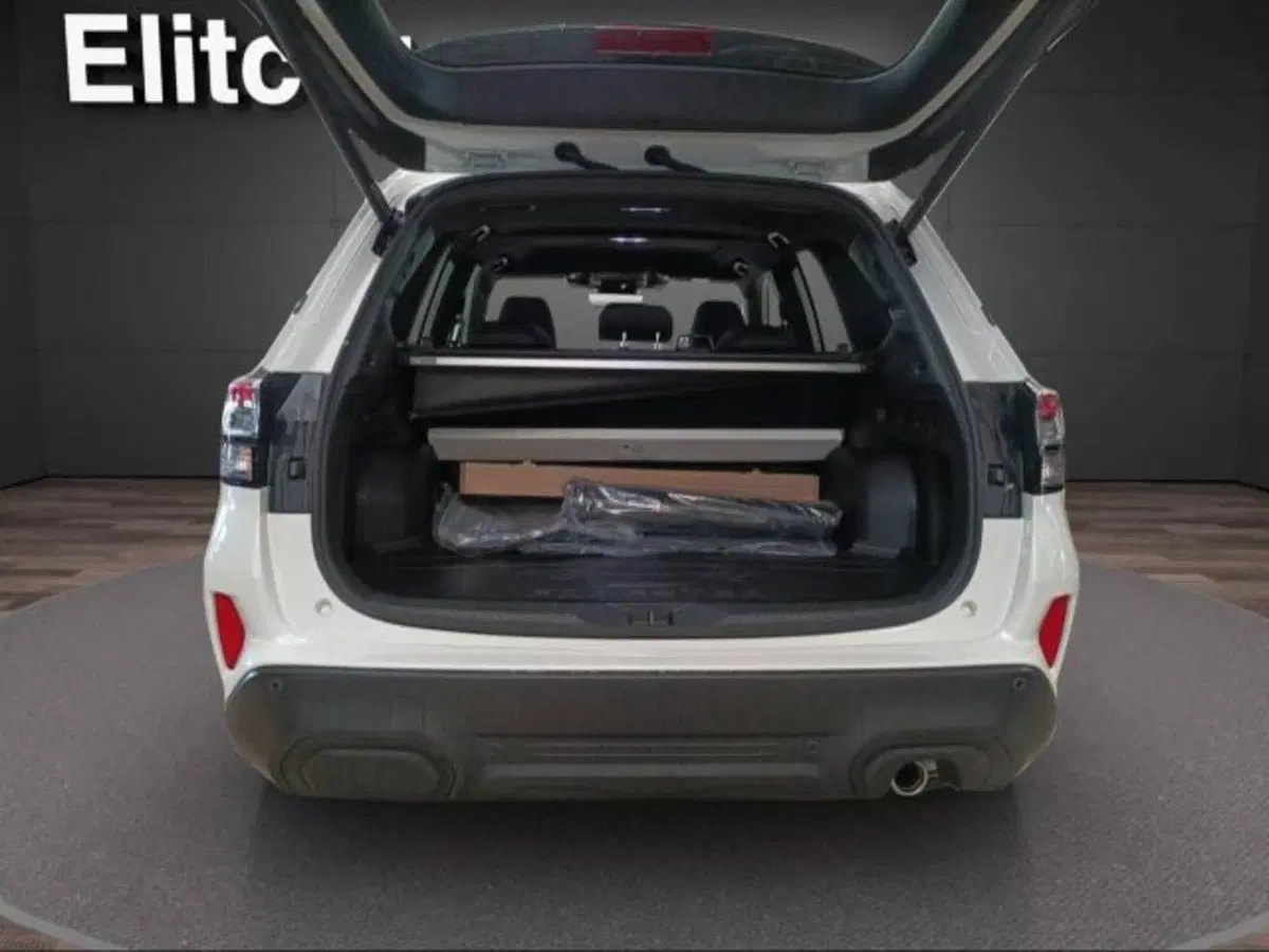 Subaru Forester nuova a Novara (5)