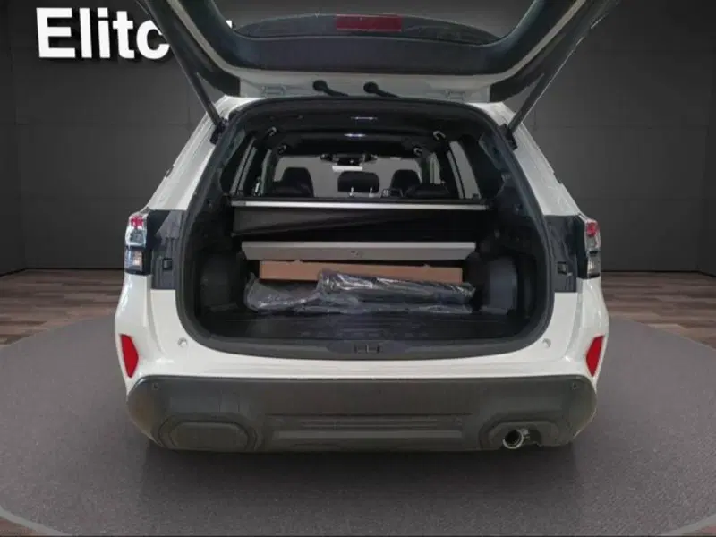 Subaru Forester nuova a Novara (5)