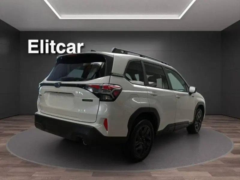 Subaru Forester nuova a Novara (6)