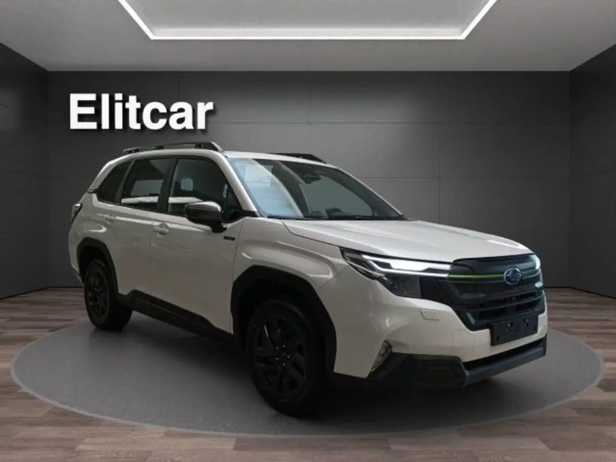 Subaru Forester nuova a Novara (7)