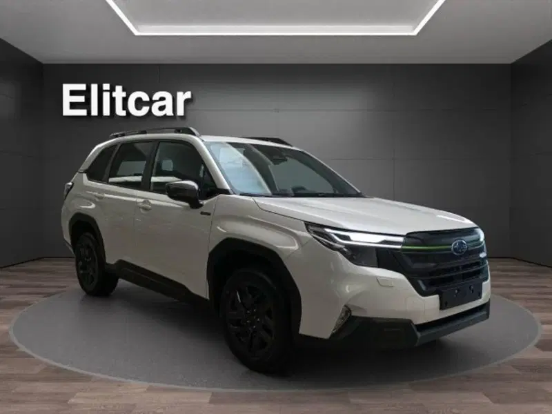 Subaru Forester nuova a Novara (7)