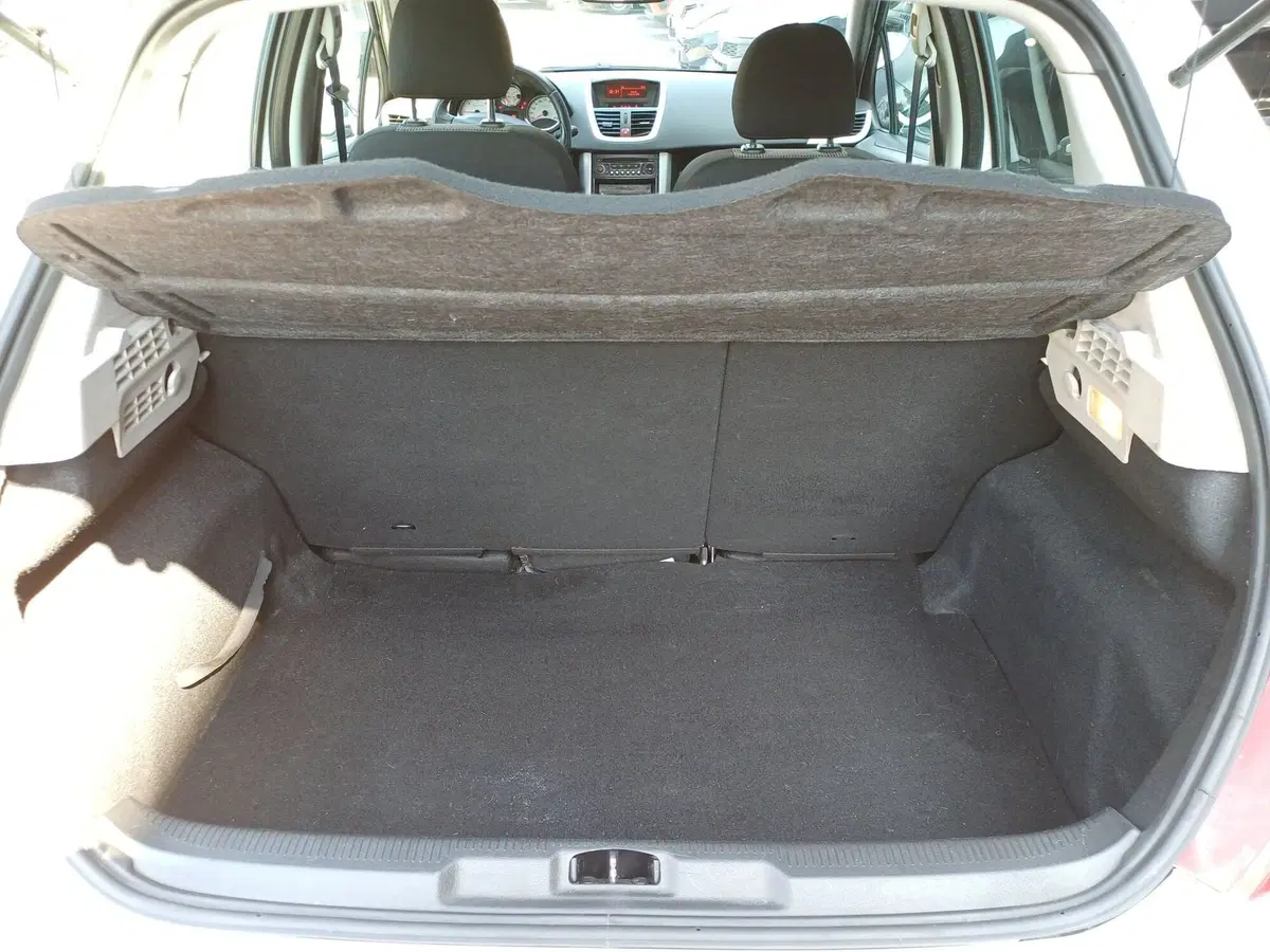 Peugeot 207 usata a Modena (8)