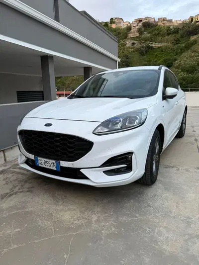 Ford Kuga 1.5 EcoBlue 120 CV 2WD ST-Line del 2021 usata a Lamezia Terme