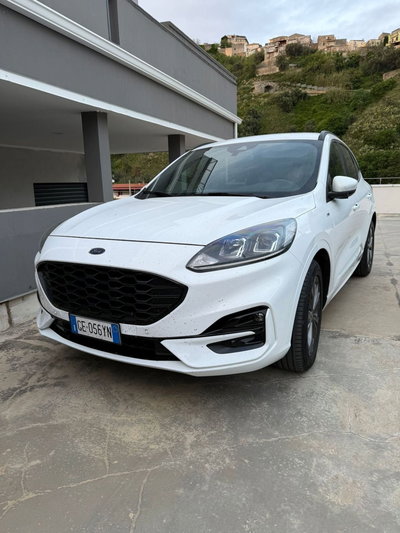 Ford Kuga 1.5 EcoBlue 120 CV 2WD ST-Line del 2021 usata a Lamezia Terme