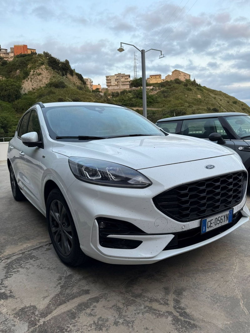 Ford Kuga usata a Catanzaro (2)