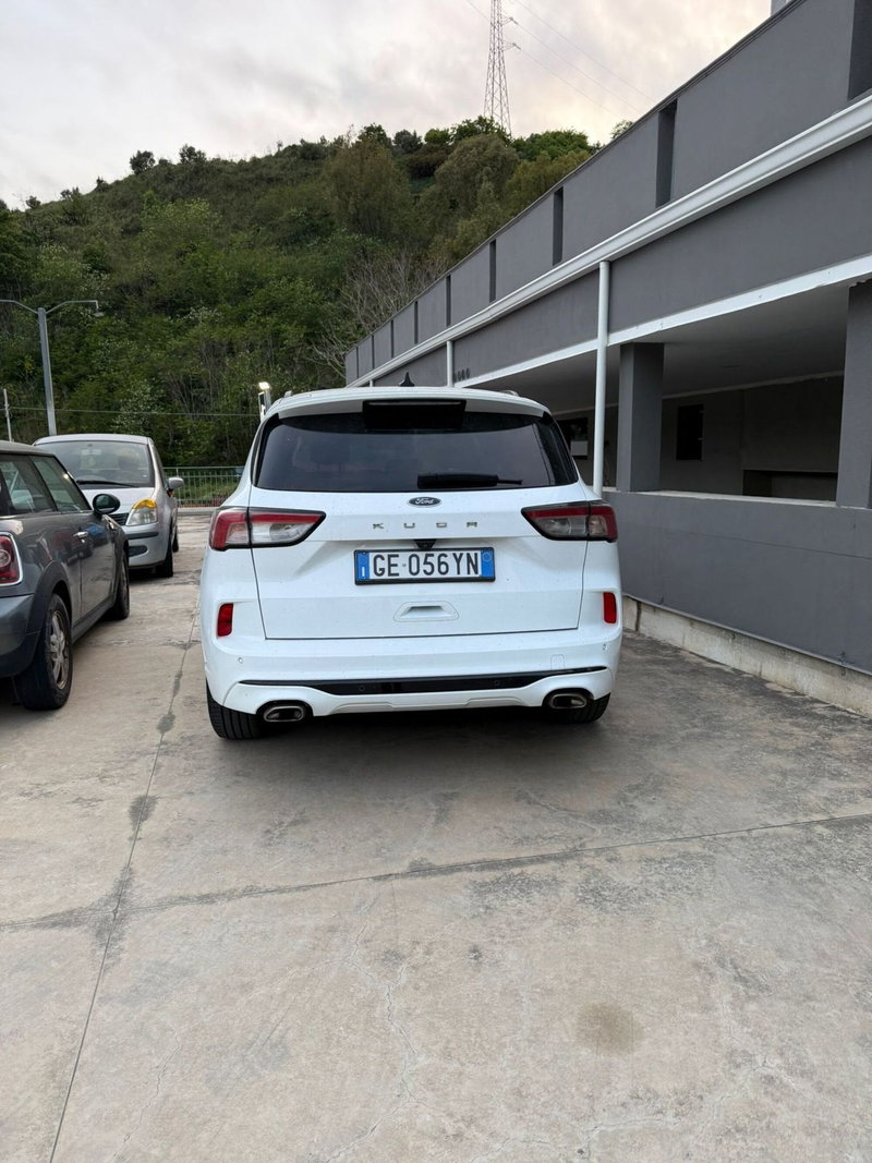 Ford Kuga usata a Catanzaro (3)