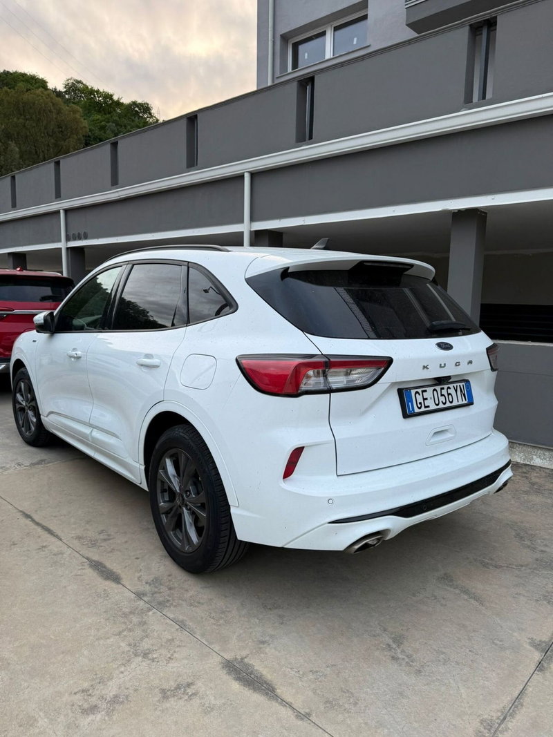 Ford Kuga usata a Catanzaro (4)