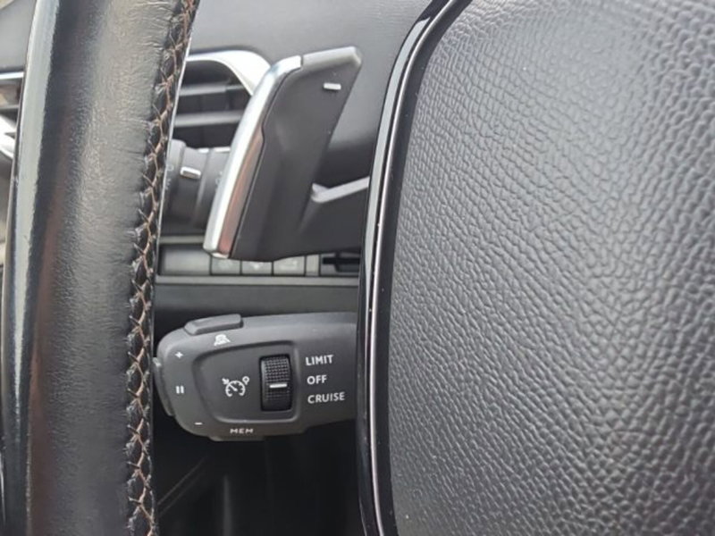 Peugeot 3008 usata a Monza e Brianza (17)