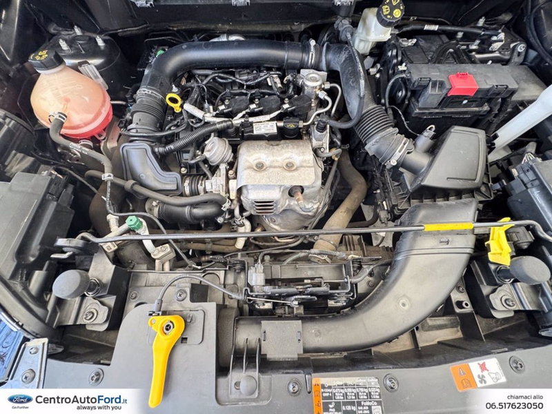 Ford EcoSport usata a Roma (11)