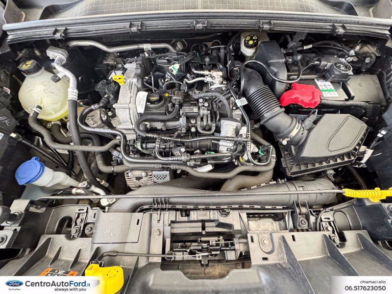 Ford Puma usata a Roma (11)