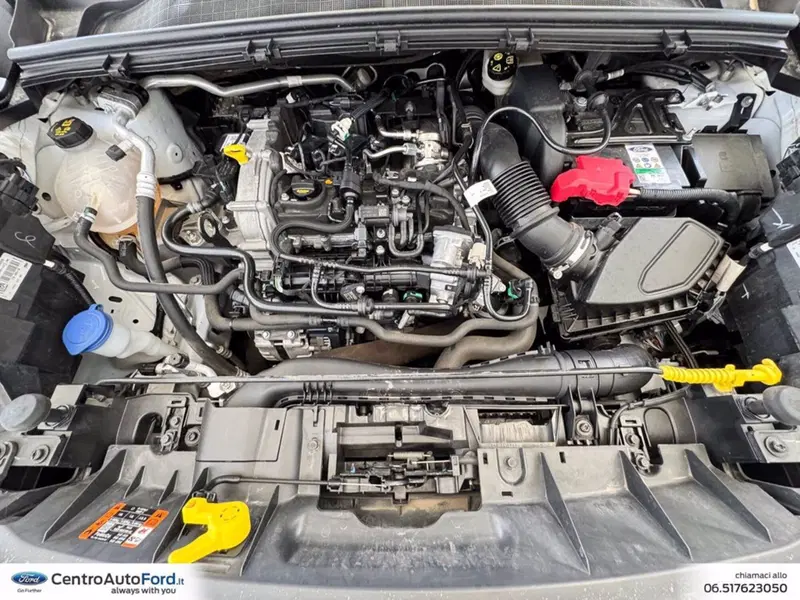 Ford Puma usata a Roma (12)