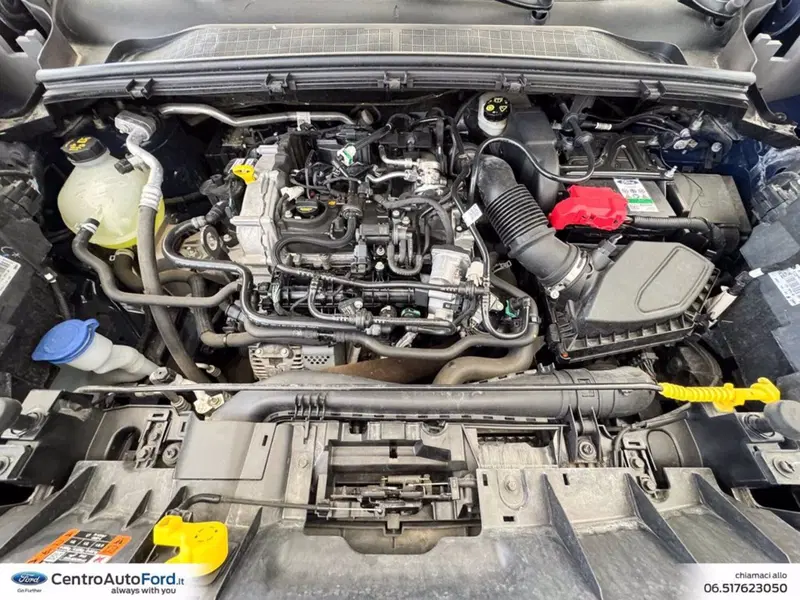 Ford Puma usata a Roma (11)