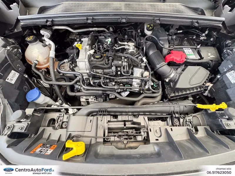 Ford Puma usata a Roma (12)