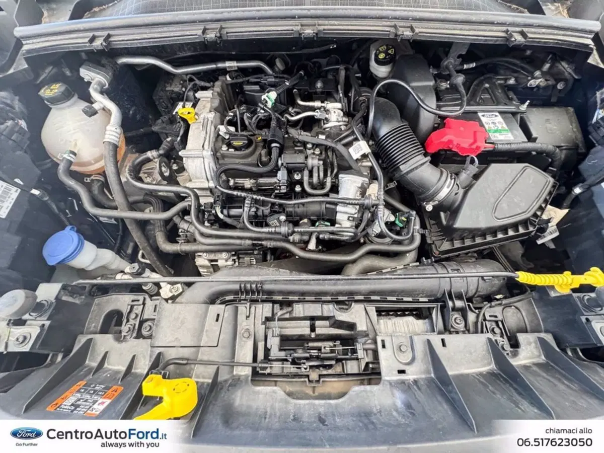 Ford Puma usata a Roma (12)