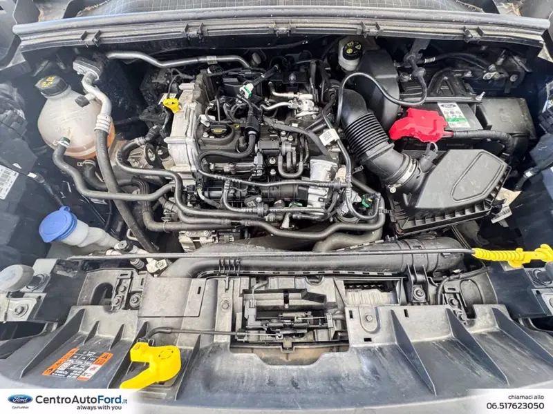 Ford Puma usata a Roma (12)