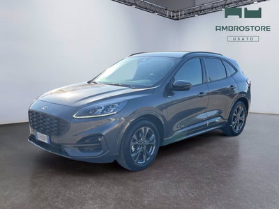Ford Kuga 2.5 Full Hybrid 190 CV CVT 2WD ST-Line X del 2024 usata a Segrate