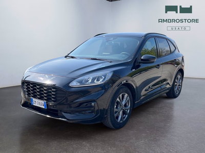 Ford Kuga 1.5 EcoBlue 120 CV 2WD ST-Line del 2023 usata a Segrate
