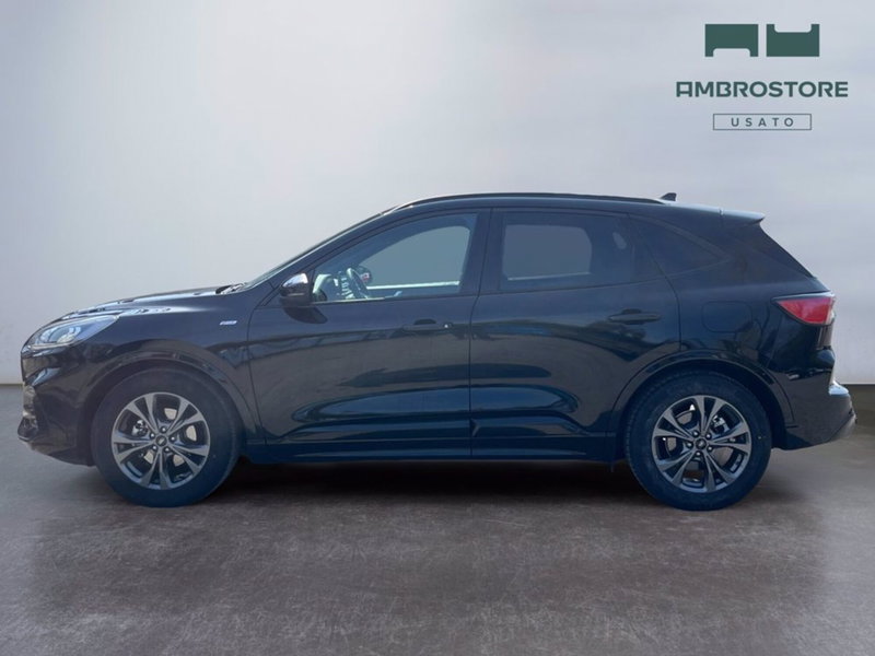 Ford Kuga usata a Milano (2)