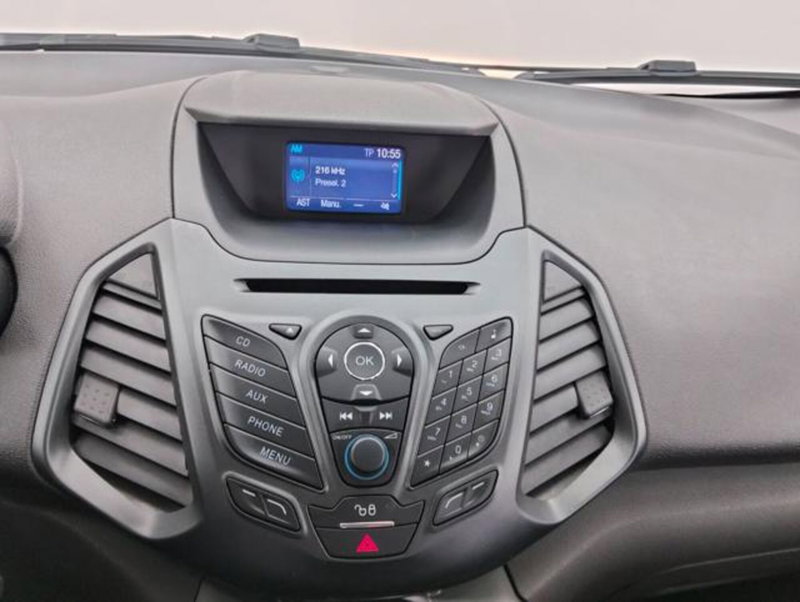 Ford EcoSport usata a Como (12)