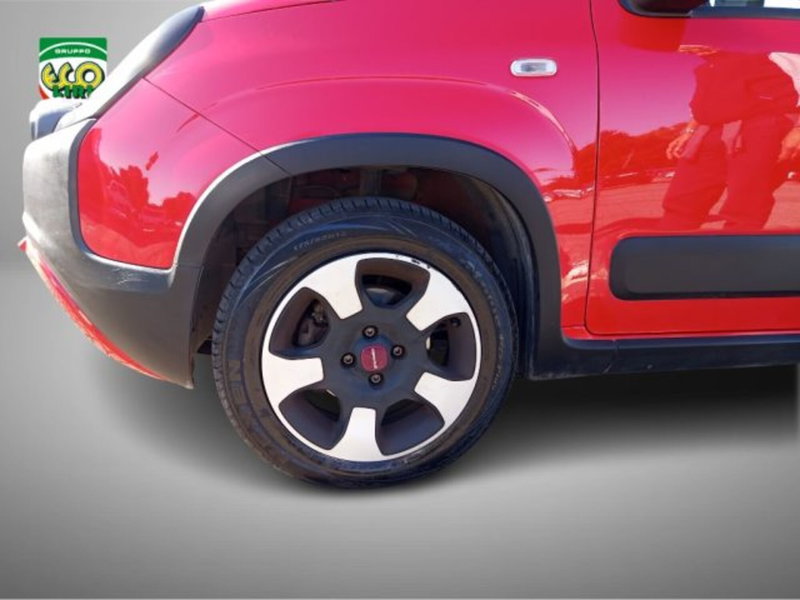 Fiat Panda usata a Frosinone (16)