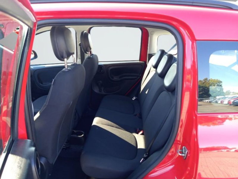 Fiat Panda usata a Frosinone (19)