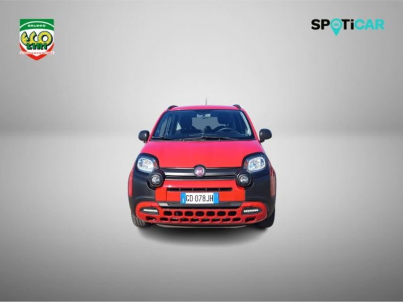 Fiat Panda usata a Frosinone (2)