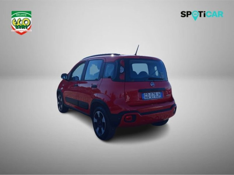 Fiat Panda usata a Frosinone (7)