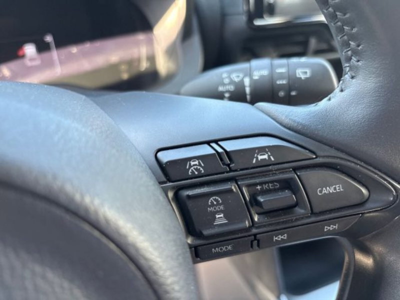 Toyota Yaris Cross usata a Roma (16)