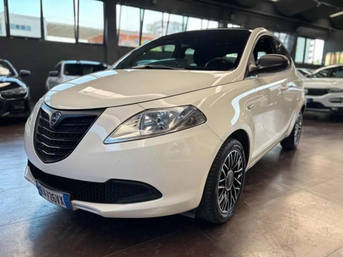 Lancia Ypsilon usata a Pesaro-Urbino (8)