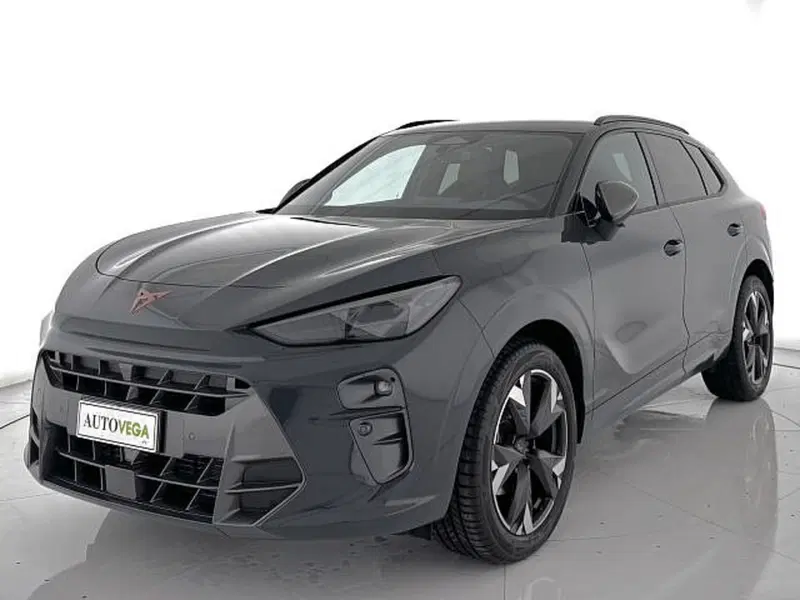 Cupra Terramar usata a Vicenza