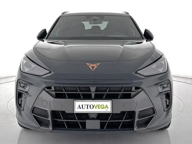 Cupra Terramar usata a Vicenza (2)