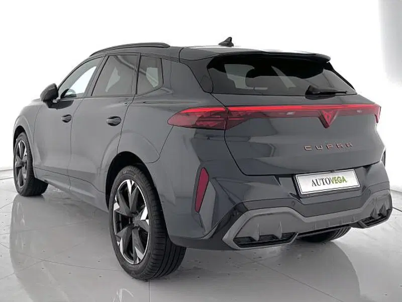 Cupra Terramar usata a Vicenza (5)