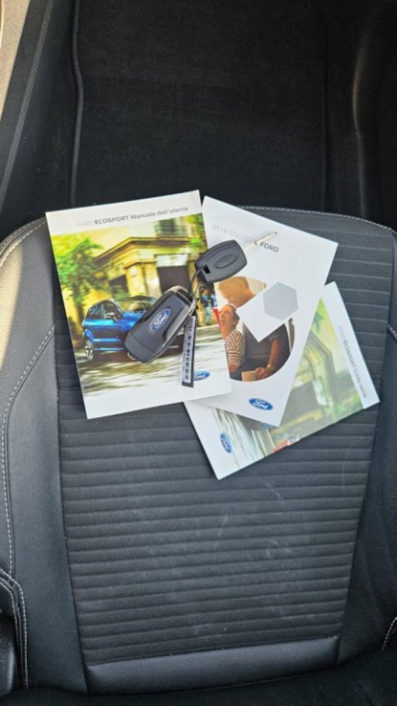 Ford EcoSport usata a Lucca (8)