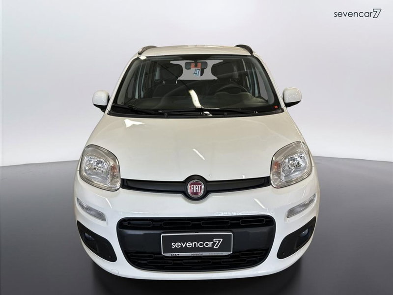 Fiat Panda usata a Verona (2)