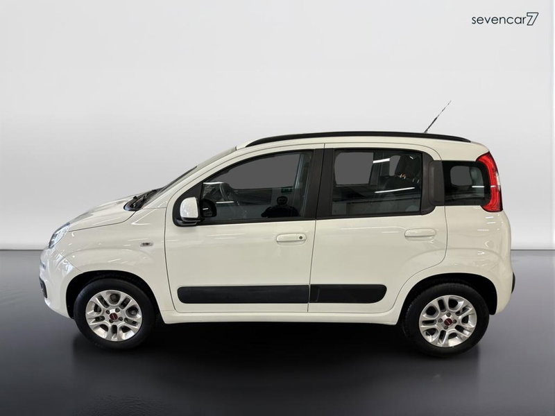 Fiat Panda usata a Verona (8)