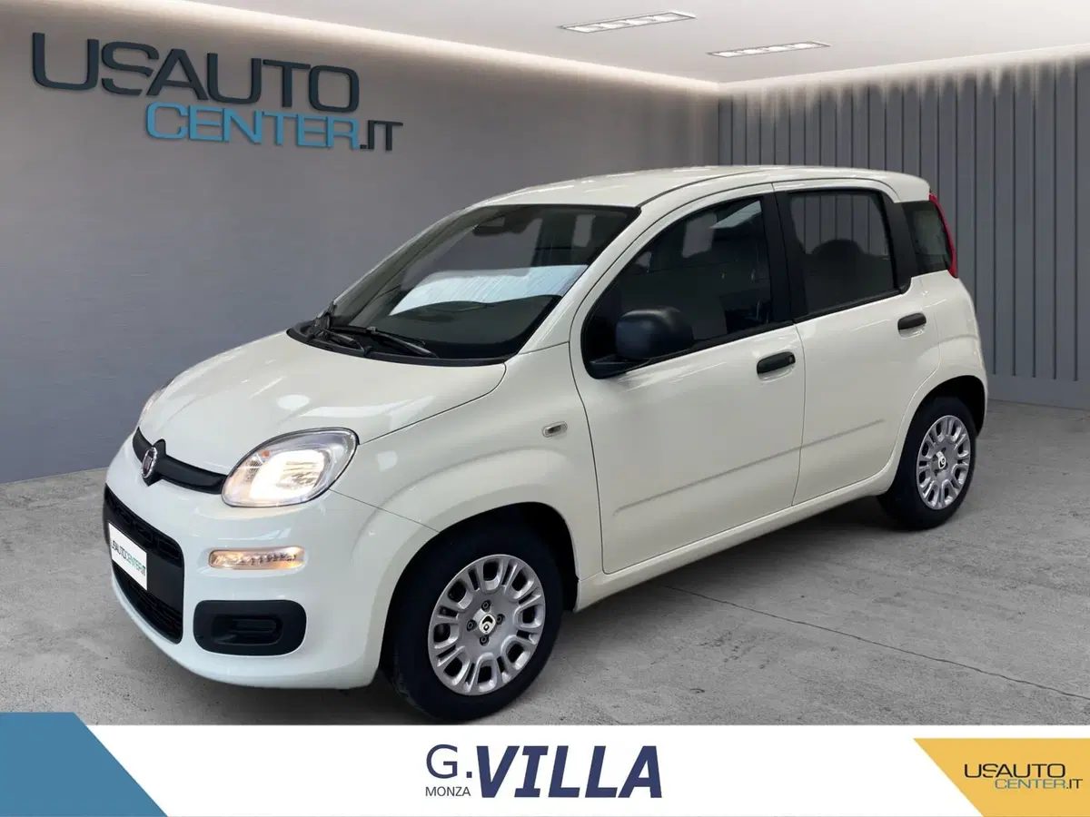 Fiat Panda Cross usata a Monza e Brianza (2)