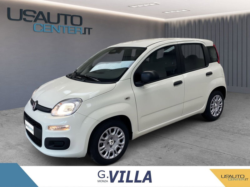 Fiat Panda Cross usata a Monza e Brianza (2)