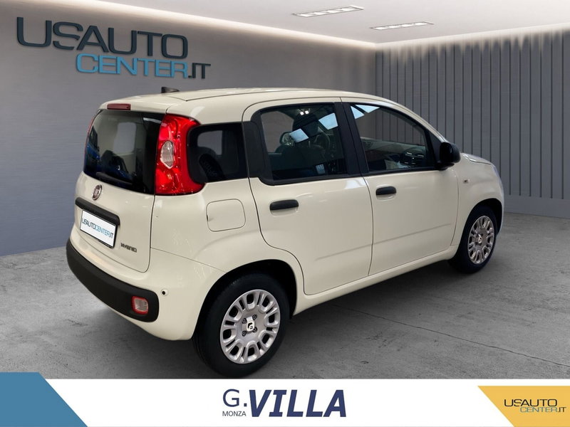 Fiat Panda Cross usata a Monza e Brianza (6)
