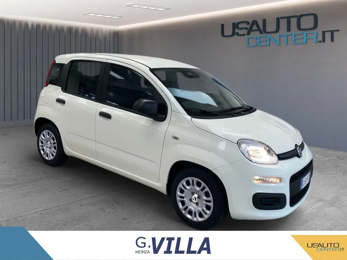 Fiat Panda Cross usata a Monza e Brianza (7)