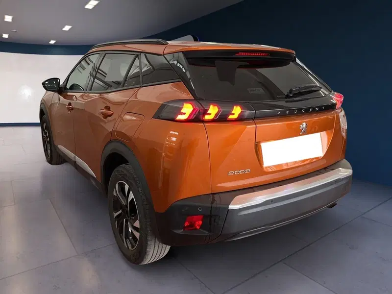 Peugeot 2008 usata a Torino (6)