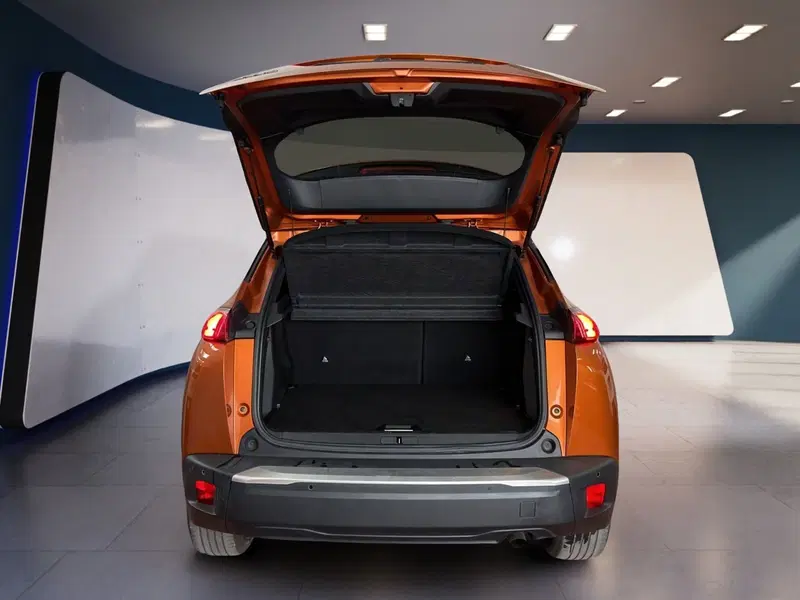 Peugeot 2008 usata a Torino (7)