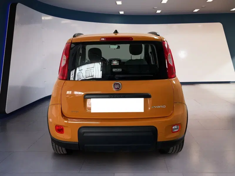 Fiat Panda usata a Torino (5)