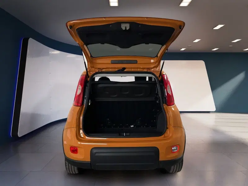 Fiat Panda usata a Torino (7)