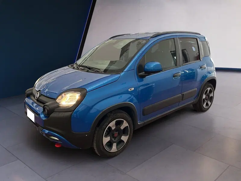 Fiat Panda usata a Torino (2)