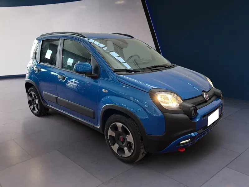Fiat Panda usata a Torino (3)